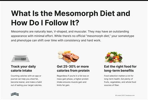 Mesomorph Diet and Training: How to Change Your Somatotype - Levels