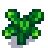 Parsnip Seeds - Stardew Valley Wiki