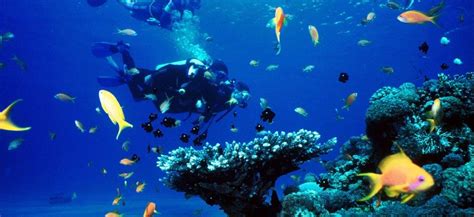 The Ultimate Guide to Snorkeling in Greece