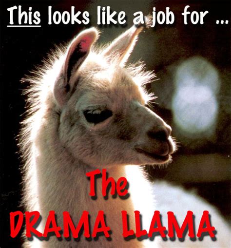 Whiskers In the Window: The Drama Llama Has Left the Building