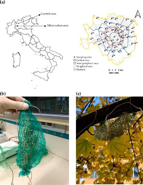 Figure 1 from Biological Effects of Air Pollution on Sensitive ...