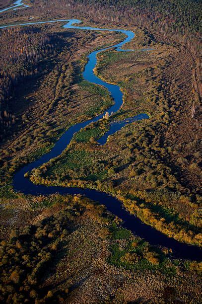 Aerial view of Alam-Pedja Nature Reserve, Estonia | Estonia, Aerial ...