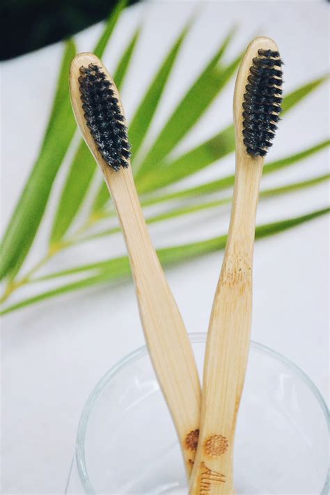 .Bamboo Toothbrush – Charcoal (Pack of 2) – Almitra Sustainables