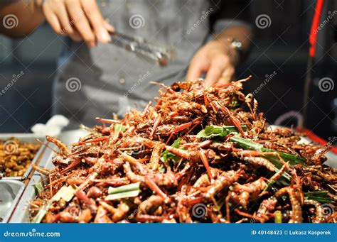 Fried Insects Grasshopper Insect Crispy Thai Food Street Food Market ...