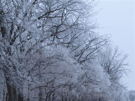 IN PHOTOS: Frost creates Manitoba winter wonderland - Winnipeg ...