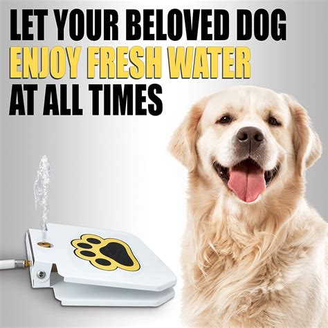 Paw-Activated Dog Water Fountain | The Green Head