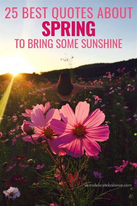 25 Best Quotes About Spring To Bring Some Sunshine To Your Life ...