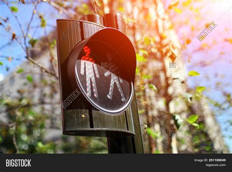 Pedestrian Traffic Image & Photo (Free Trial) | Bigstock