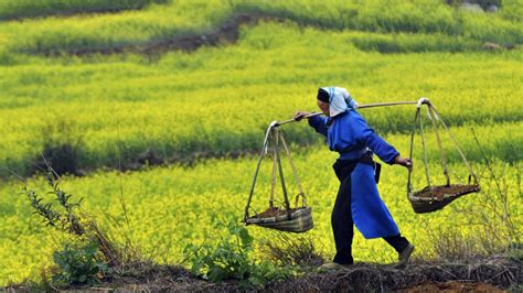 What Chinese Farmers Can Teach Us About Uncertainty | The Horizons Tracker