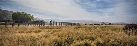 Little River Trail | Christchurch - Canterbury, New Zealand