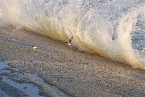 Beach New Milton Hampshire UK Hampshire Uk, New Milton, New England, Waves, Mountains, Daily ...