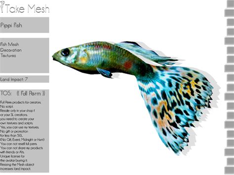 Second Life Marketplace - ! TakeMesh -Pippi Fish