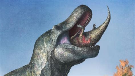 Tyrannosaurus rex and velociraptor may have had lips covering their teeth, new study finds | CBC ...