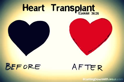 Heart Transplant - Jennifer Dukes Lee