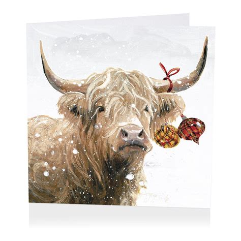 Highland Cow Christmas Cards - Christmas Coo - Pack of 6 – GingerInteriors.co.uk | Cow christmas ...