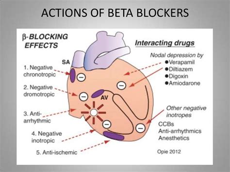 Desafio 2024 Beta Blockers - Gabi Carmita