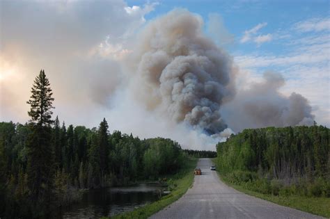 Wood Buffalo National Park in northern Canada listed among threatened World Heritage Sites – Eye ...