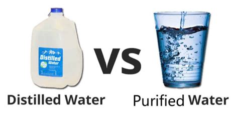 Everything You Need to Know About Bottled Spring Water vs Purified Water