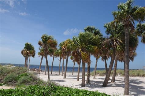 Palm Harbor FL Beach Information