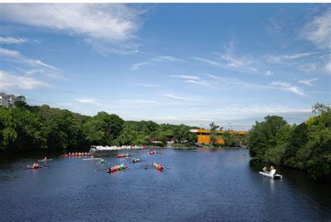 Rainbow Row 2019: A Look Back - Hydrow Rowing Machines & Classes