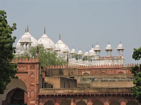 Moti Masjid / Pearl Mosque - Agra Fort, Agra - Timings, History, Best ...