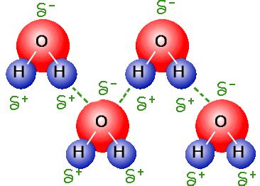 Hydrogen Bonding - Intermolecular Forces