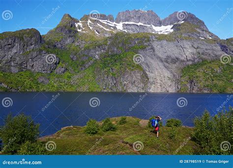 Hiker by fjord in Norway stock image. Image of fjord - 28798519