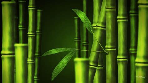 Bamboo Desktop Wallpaper