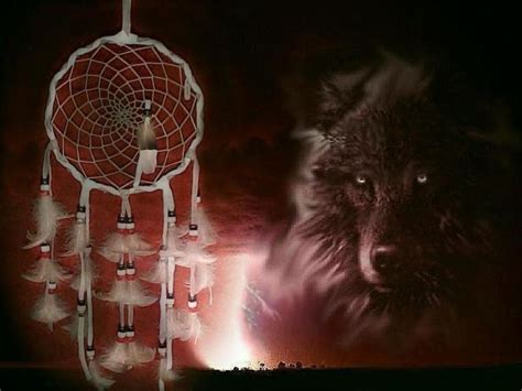 Wolf and Dream Catcher | Native american wallpaper, Native american ...