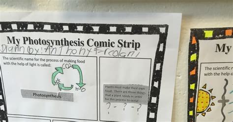 Mrs. Hall's Classroom Blog: Photosynthesis Comic Strip Samples