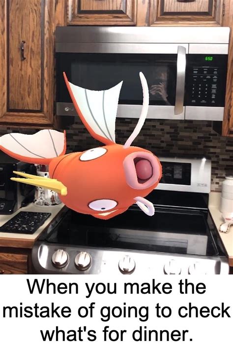 Magicarp Pokemon Go meme - Meme by Mr.Magicarp :) Memedroid