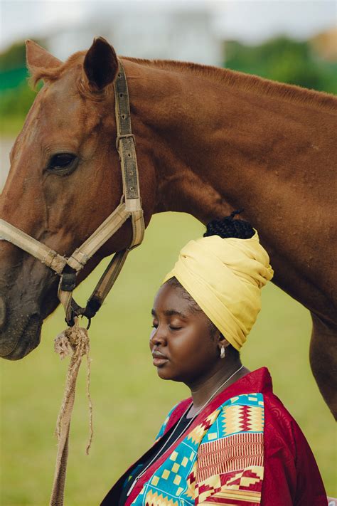 Polo Horse Photos, Download The BEST Free Polo Horse Stock Photos & HD ...