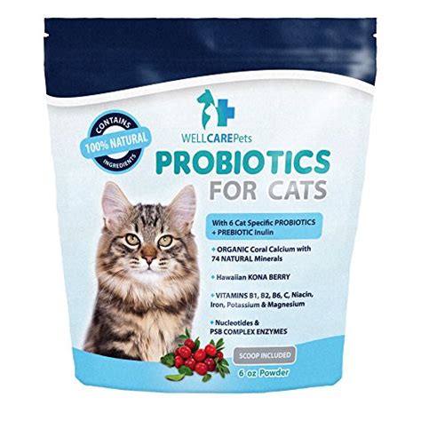 Cat Probiotics by Well Care Pets-All Natural Probiotic Powder Supplement-Promotes Healthy ...