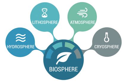 The Biosphere: Life on Earth - Earth How