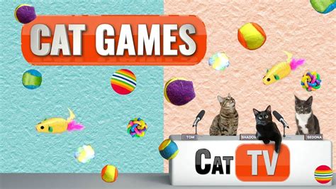 Cat Games TV | Cat Toys & Mouse #2 | Videos For Cats To Watch | 😼 | CAT TV