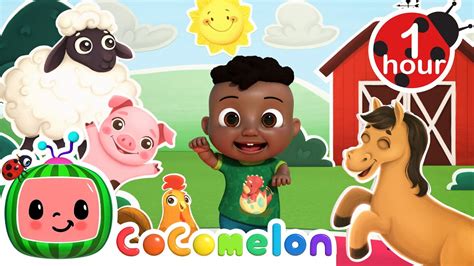 cocomelon old macdonald - Youtube Kids