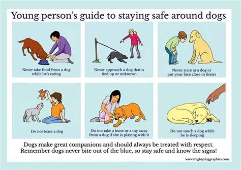 Guide to bite prevention. Dog safety guide. | Dog bite prevention ...