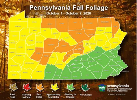 Fall foliage nearing its peak in most of southwestern Pa.