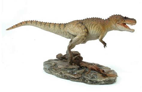 Albertosaurus | Extinct Animals