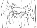 Halloween Crab coloring Page  Free Printable Coloring Pages sketch template