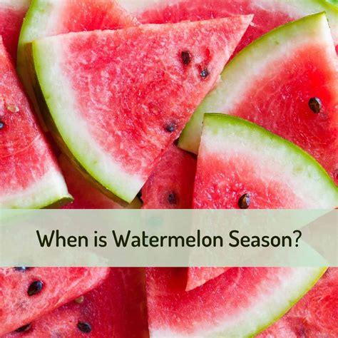 When is Watermelon Season?