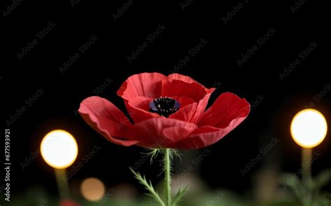 Stylized Red Poppy on Black Remembrance Day Symbol ai generated Stock ...