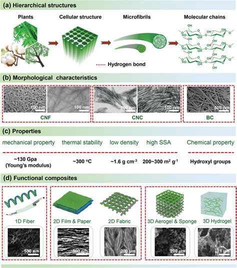 Morphology, properties, and composites of nanocellulose. a) The... | Download Scientific Diagram