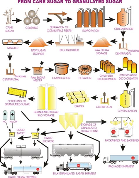 Manufacturing Process - Sugar