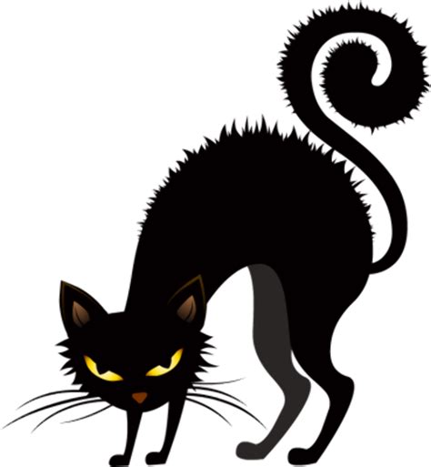 Download High Quality Cat clipart scary Transparent PNG Images - Art Prim clip arts 2019