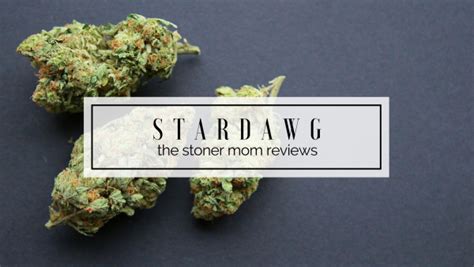 Stardawg Strain Review | The Stoner Mom Reviews