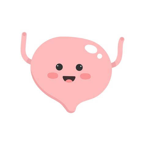 Cute cartoon bladder. Bladder illustration. 10789827 PNG