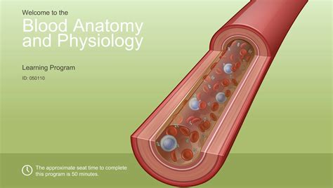 Blood Anatomy and Physiology-A.D.A.M. OnDemand