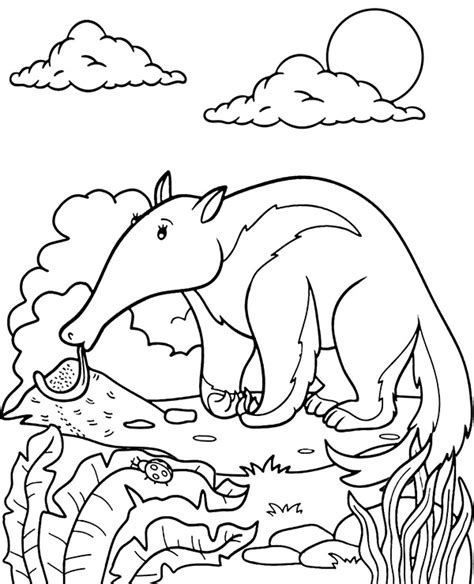 Animal anteater coloring page for kids