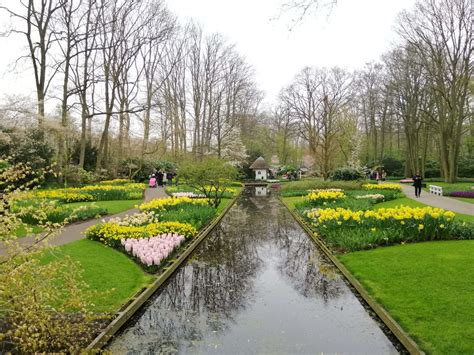 The Ultimate Guide To Visiting Amsterdam Tulips’ And Keukenhof Gardens ...